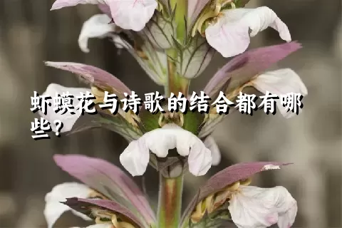 虾蟆花与诗歌的结合都有哪些？