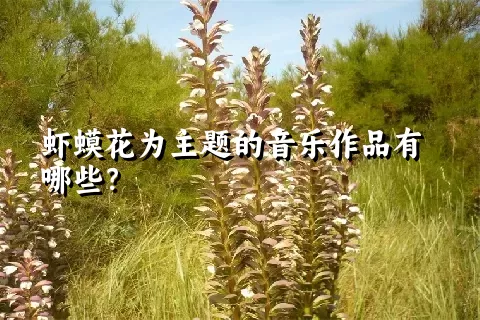 虾蟆花为主题的音乐作品有哪些？