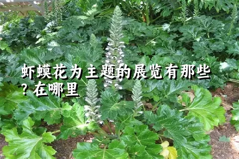 虾蟆花为主题的展览有那些？在哪里