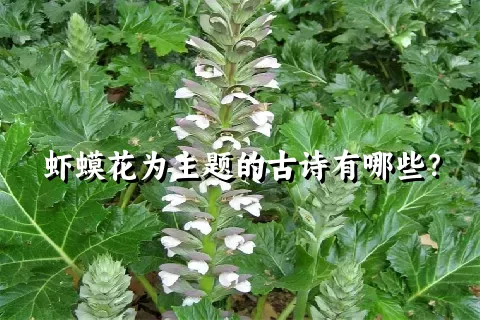 虾蟆花为主题的古诗有哪些？