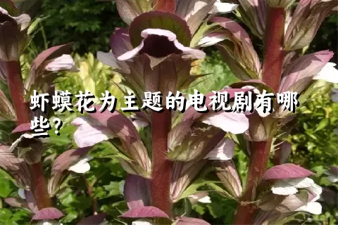 虾蟆花为主题的电视剧有哪些？