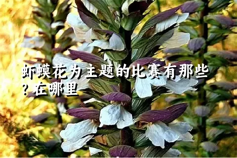 虾蟆花为主题的比赛有那些？在哪里