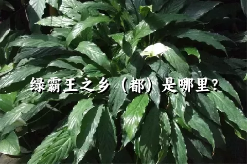 绿霸王之乡（都）是哪里？