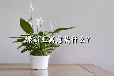 绿霸王寓意是什么？