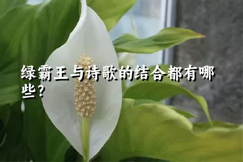 绿霸王与诗歌的结合都有哪些？