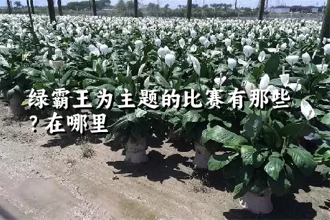 绿霸王为主题的比赛有那些？在哪里