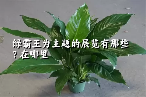 绿霸王为主题的展览有那些？在哪里