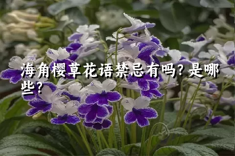 海角樱草花语禁忌有吗？是哪些？