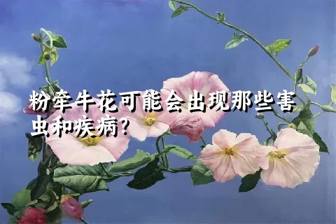 粉牵牛花可能会出现那些害虫和疾病？