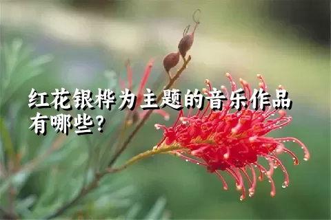 红花银桦为主题的音乐作品有哪些？