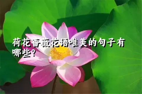 荷花蔷薇花语唯美的句子有哪些？