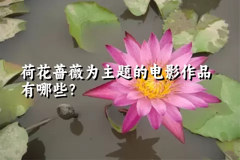 荷花蔷薇为主题的电影作品有哪些？