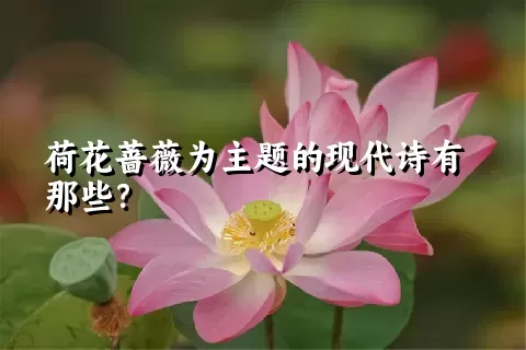 荷花蔷薇为主题的现代诗有那些？