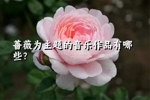 蔷薇为主题的音乐作品有哪些？