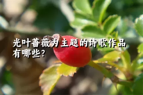 光叶蔷薇为主题的诗歌作品有哪些？