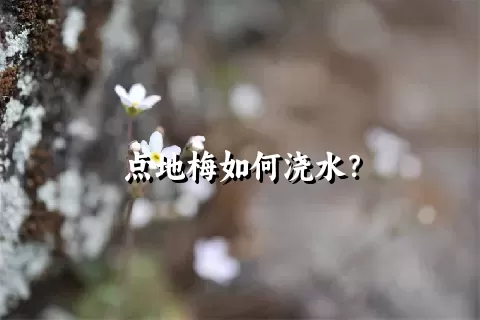 点地梅如何浇水？