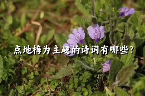 点地梅为主题的诗词有哪些？