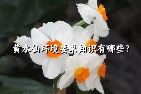 黄水仙环境要求知识有哪些？