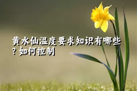 黄水仙温度要求知识有哪些？如何控制