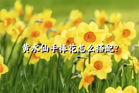 黄水仙手捧花怎么搭配？