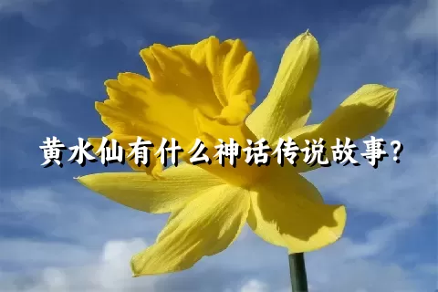 黄水仙有什么神话传说故事？