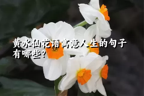 黄水仙花语寓意人生的句子有哪些？