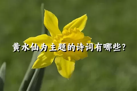 黄水仙为主题的诗词有哪些？