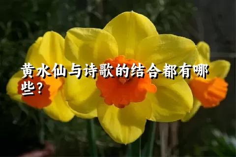 黄水仙与诗歌的结合都有哪些？