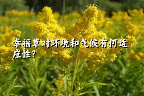 幸福草对环境和气候有何适应性？