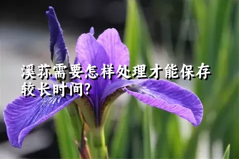 溪荪需要怎样处理才能保存较长时间?