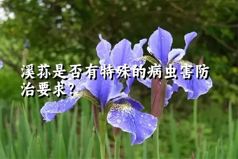 溪荪是否有特殊的病虫害防治要求?