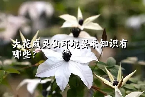 大花威灵仙环境要求知识有哪些？