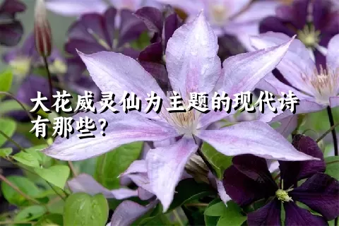 大花威灵仙为主题的现代诗有那些？