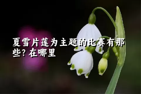 夏雪片莲为主题的比赛有那些？在哪里