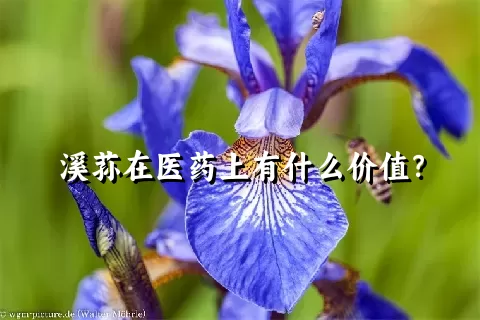 溪荪在医药上有什么价值？