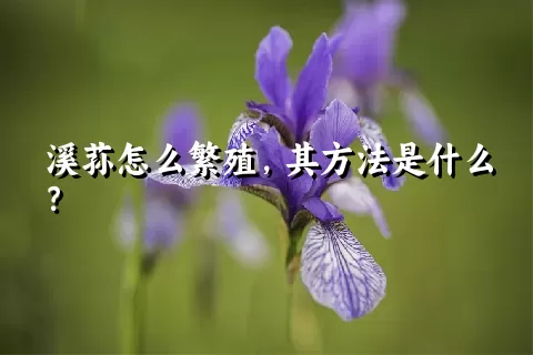 溪荪怎么繁殖，其方法是什么？