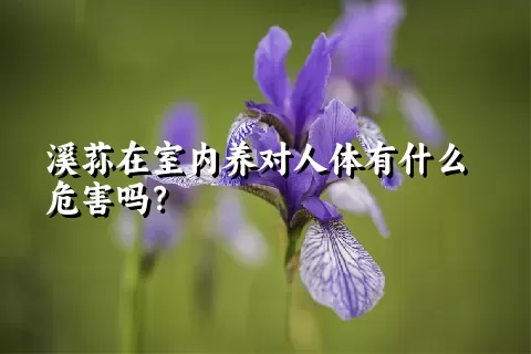 溪荪在室内养对人体有什么危害吗？