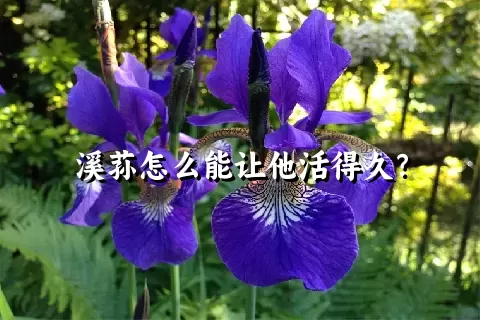 溪荪怎么能让他活得久？