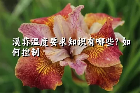 溪荪温度要求知识有哪些？如何控制