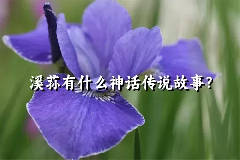 溪荪有什么神话传说故事？