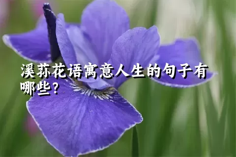 溪荪花语寓意人生的句子有哪些？