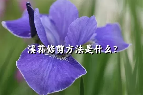 溪荪修剪方法是什么？