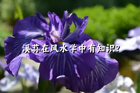 溪荪在风水学中有知识？