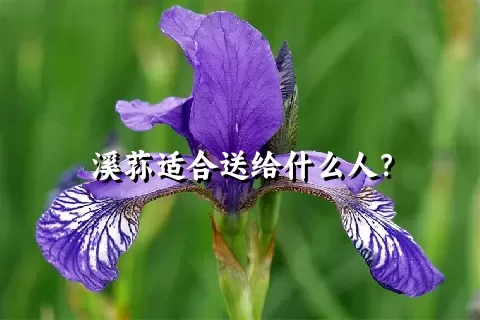 溪荪适合送给什么人？