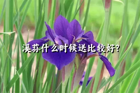 溪荪什么时候送比较好？