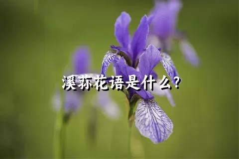 溪荪花语是什么？