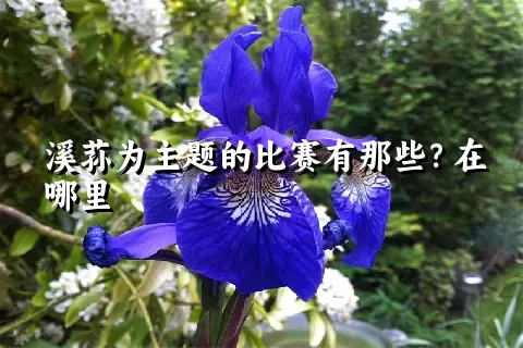 溪荪为主题的比赛有那些？在哪里