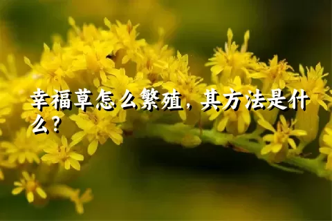 幸福草怎么繁殖，其方法是什么？