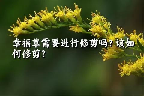 幸福草需要进行修剪吗？该如何修剪？