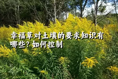 幸福草对土壤的要求知识有哪些？如何控制